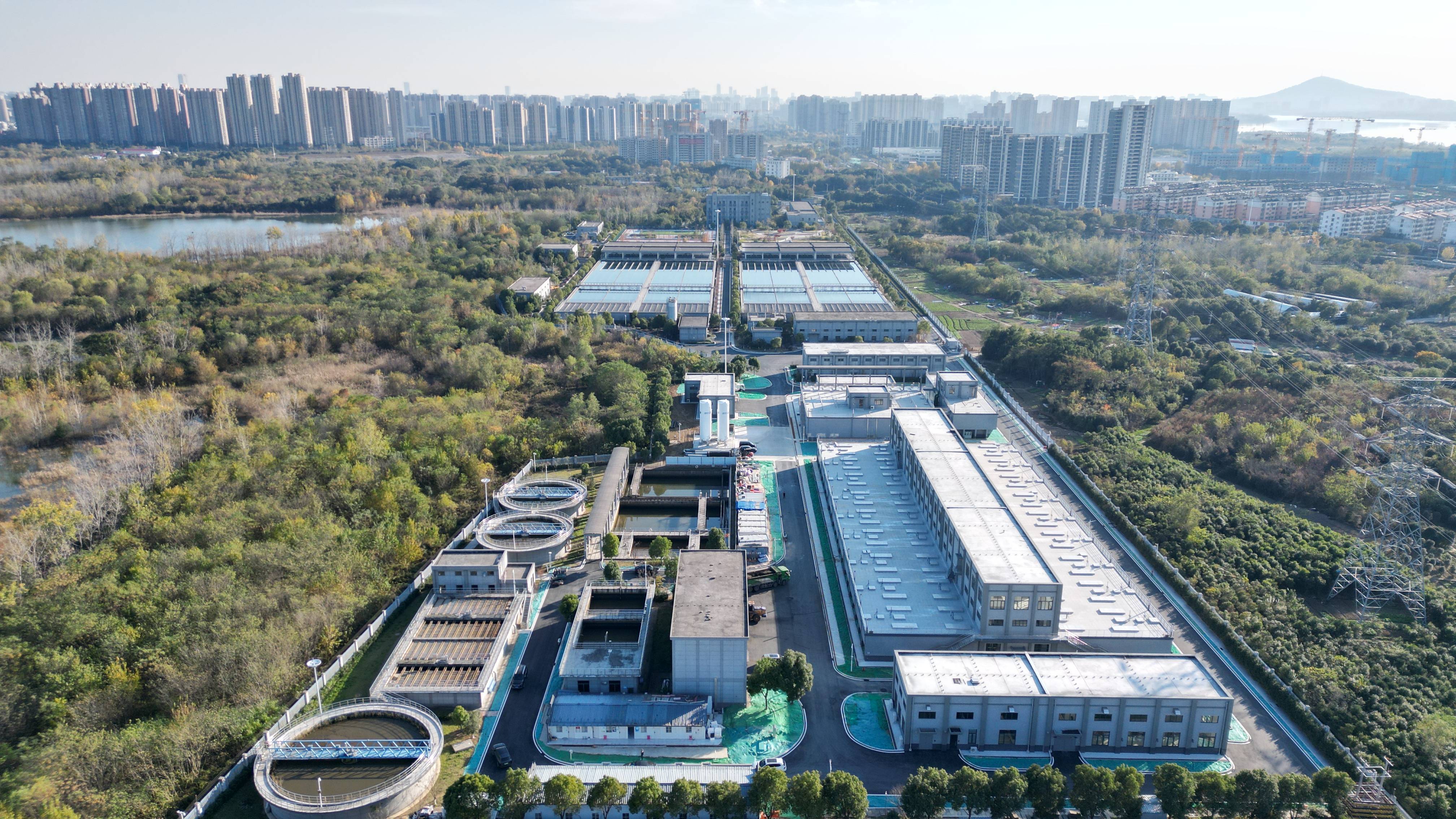 本溪市合肥专业企业价值增长(合肥市重点企业产业目录)